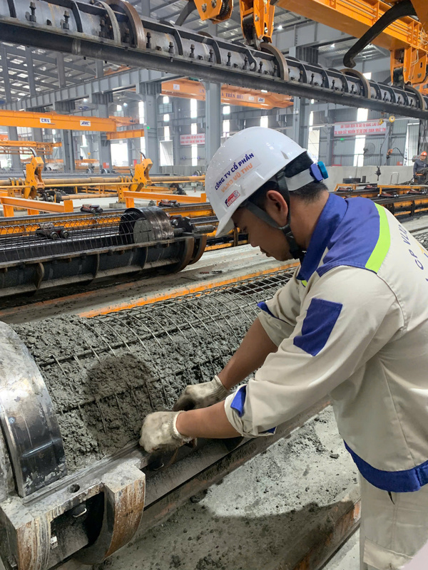 Hình ảnh thực tế